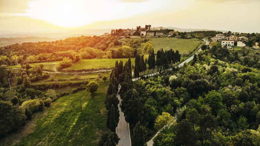 Tuscan Travels: Following the "Strada del Vino" Through Sun-Kissed Sienna Hills