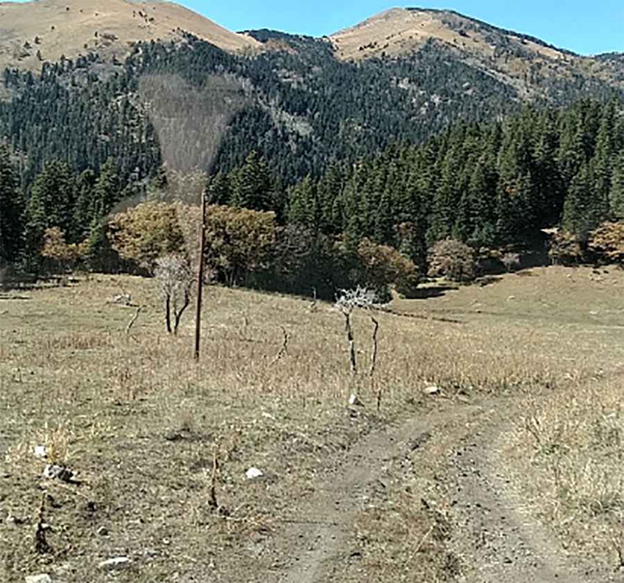 Cow Mountain