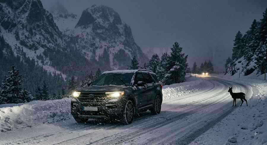 Best Headlight Bulbs for Night Driving: What Matters on Dark and Dangerous Roads