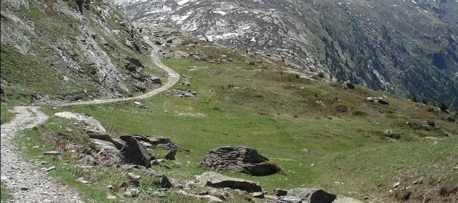 Vallon de Savine
