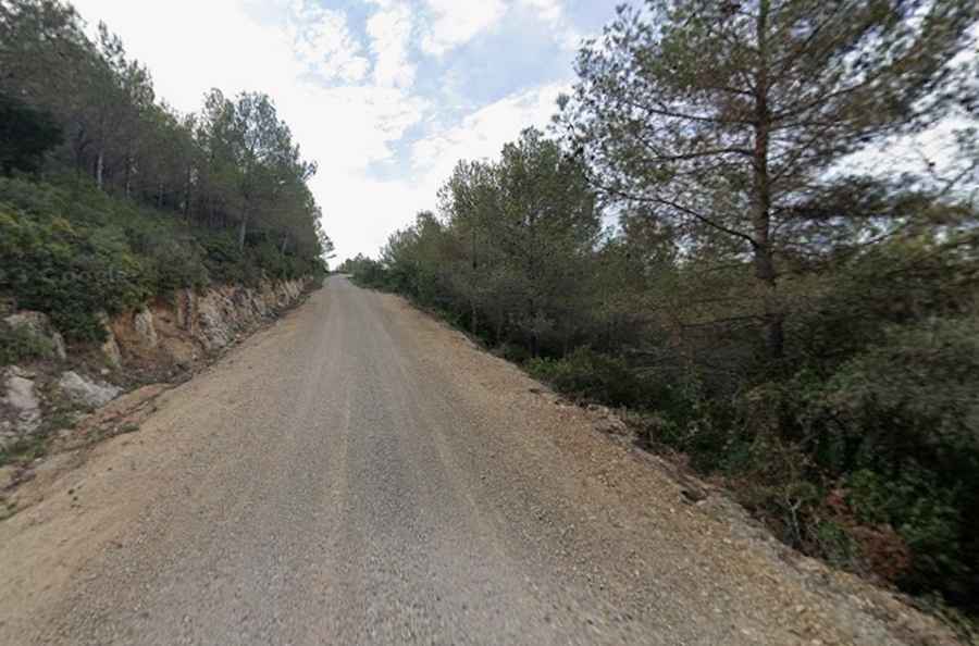 Puig d'Agulles