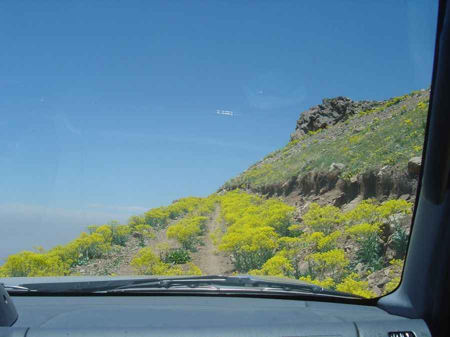 Djebel n'Ouhattar