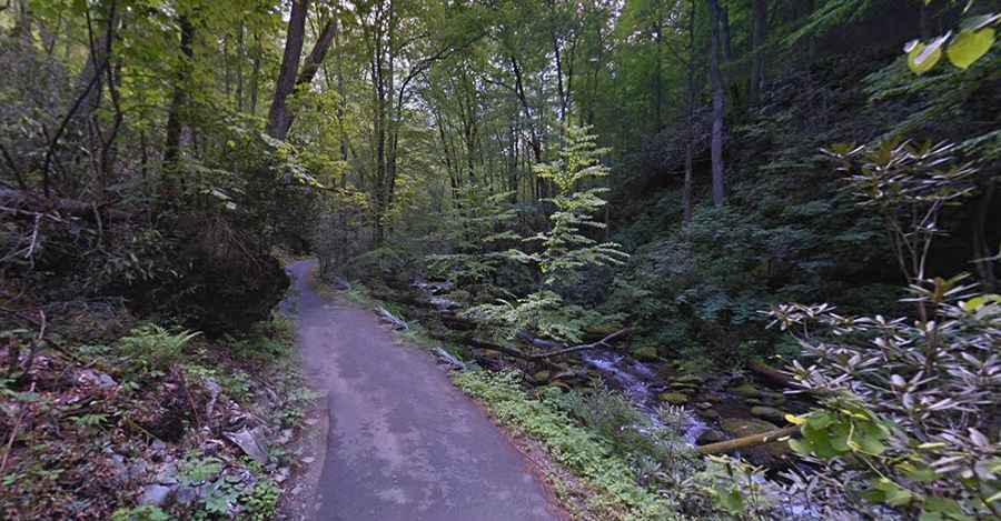 Roaring Fork Motor Nature Trail