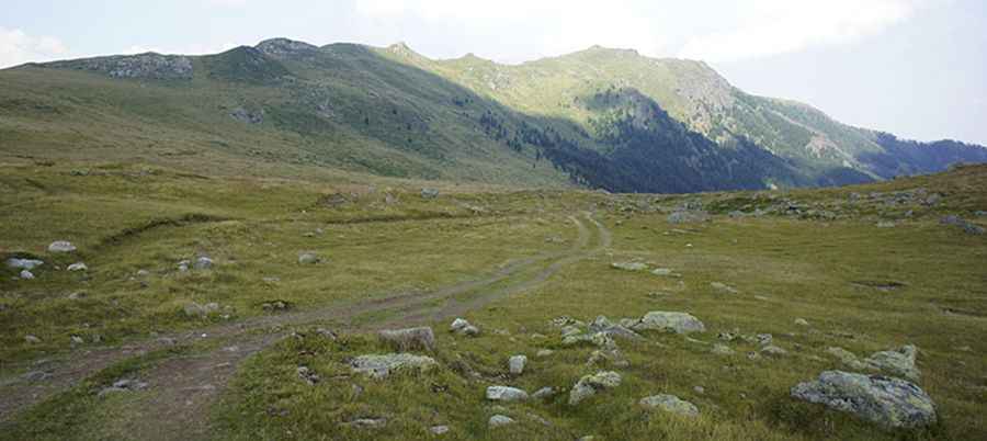 Cafa e Ljekenit