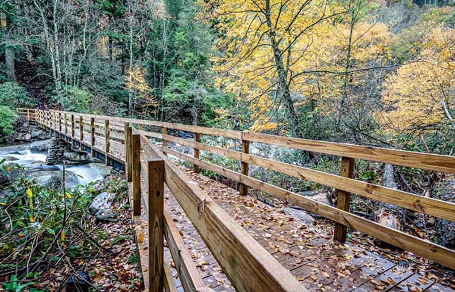 Top 5 Must-Hike Trails in the Smokies for Every Skill Level