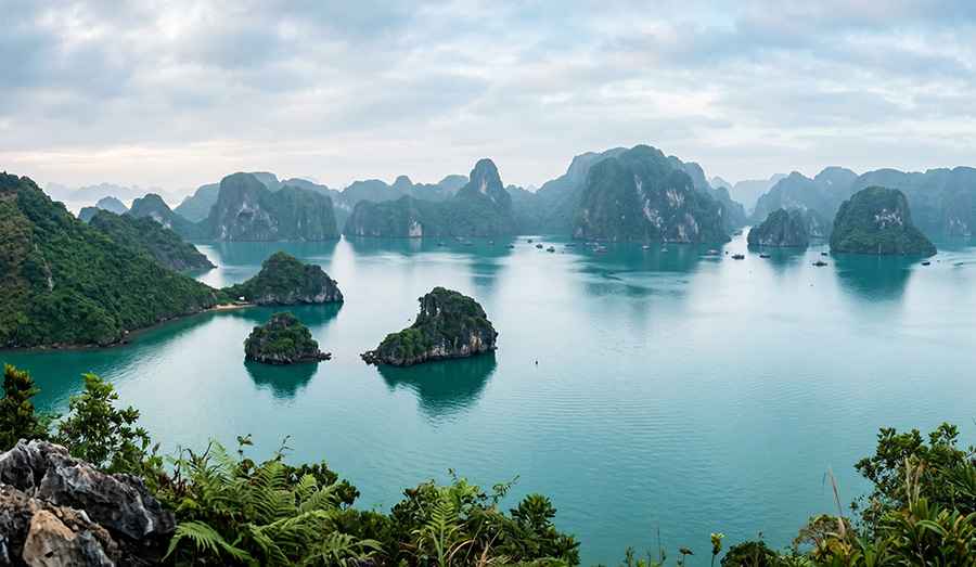 Internet Access in Vietnam: What Travelers Should Know