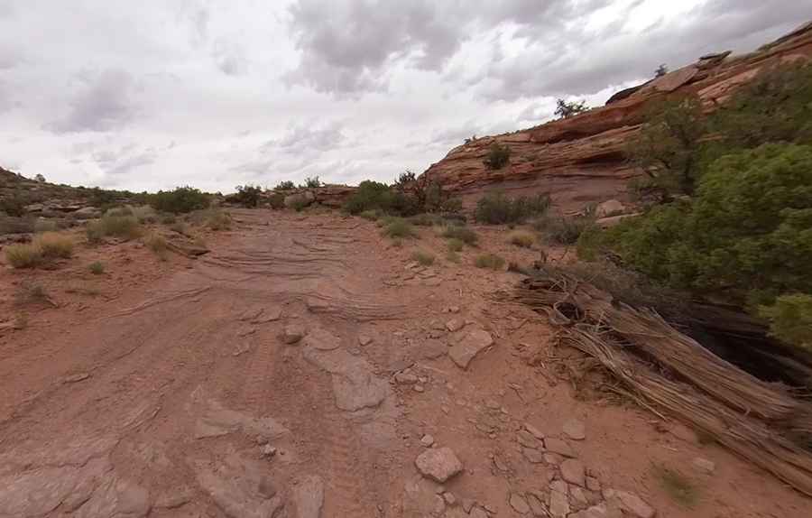 Amasa Back trail