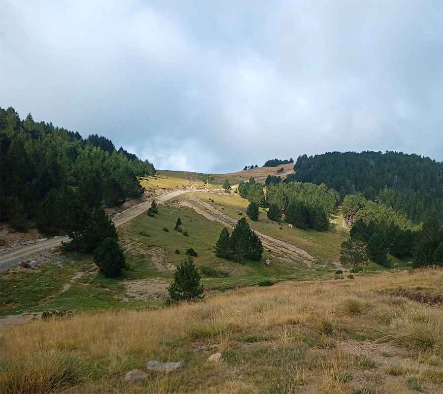 Coll de Pimés