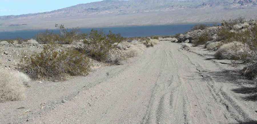 Tamarisk Road