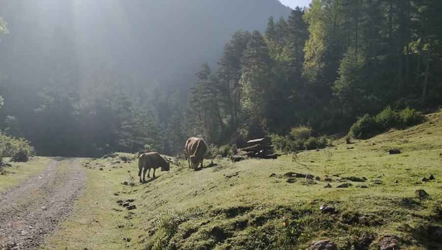 Refugi del Gonec
