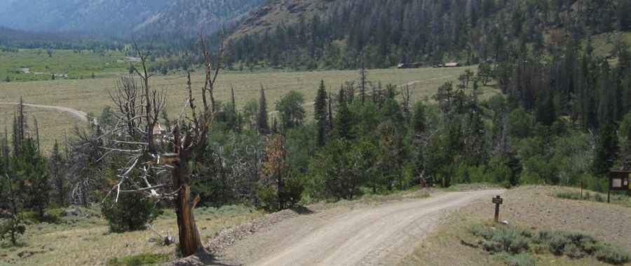 Bald Mountain