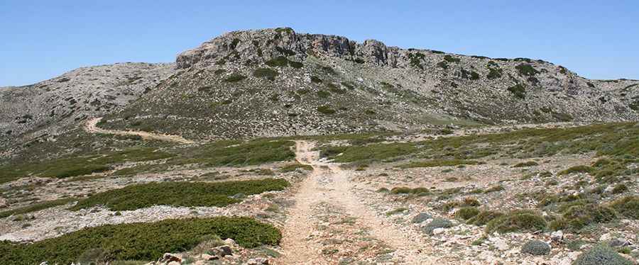 Morra del Buitre