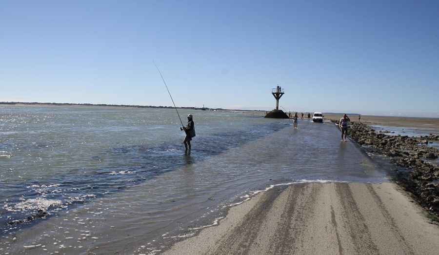 Periodically flooded roads around the world