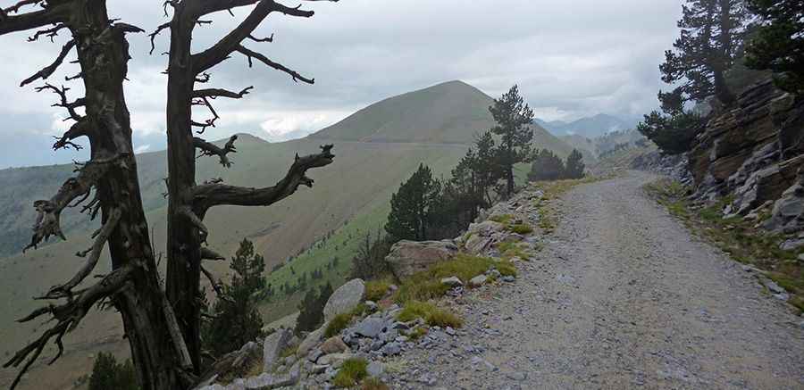 Pista de las Cutas
