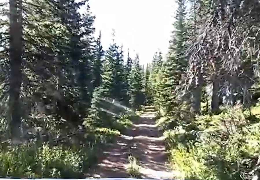 Cottonwood Peak