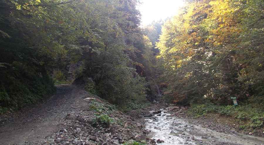 Manyava waterfall