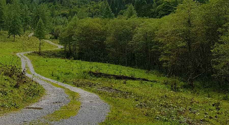 Wolayersee