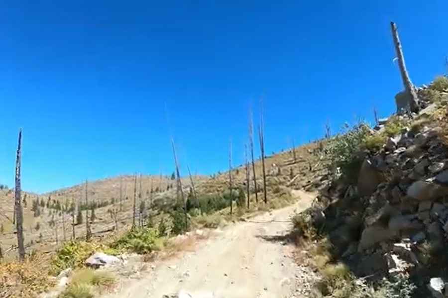 Bear Valley Mountain