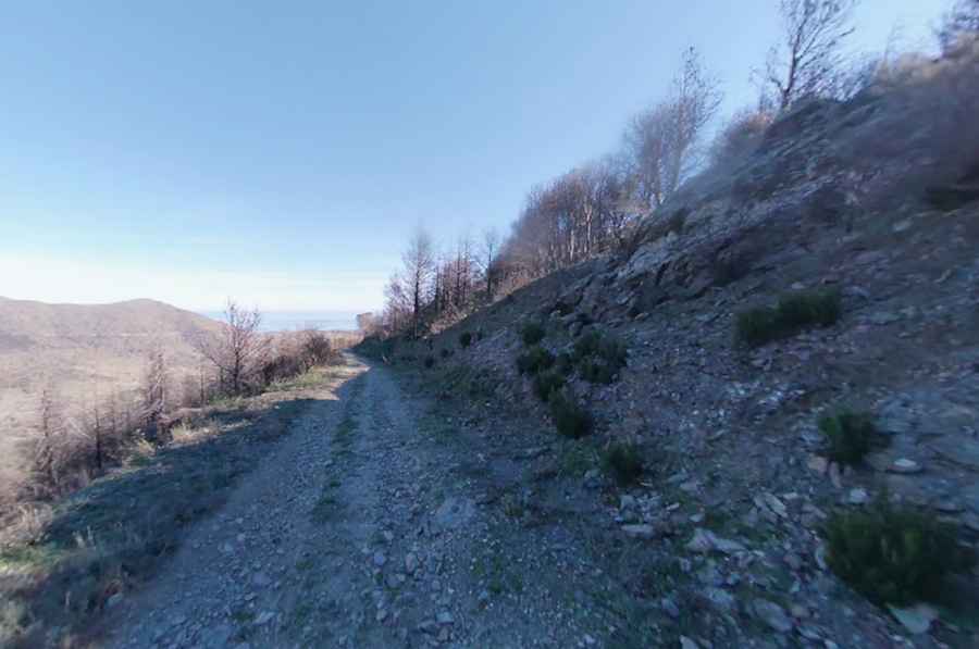Coll de la Farella